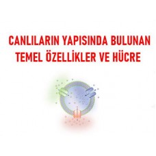 Canlıların Yapısında Bulunan Temel Bileşikler ve Hücreler