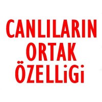 Canlıların Ortak Özellikleri