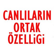 Canlıların Ortak Özellikleri