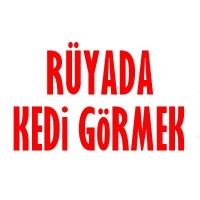 Rüyada Kedi Görmek 