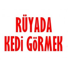 Rüyada Kedi Görmek 