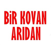 1 Kovan Arı Ne Kadar Bal Verir Ne Kazandırır