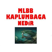 mlbb kaplumbağa nedir