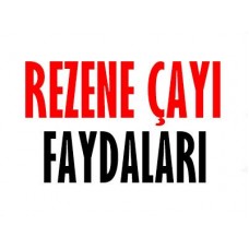 Rezene Çayı Faydaları Nelerdir 2024