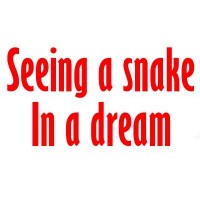 Seeing a Snake in a Dream