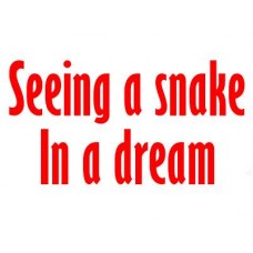 Seeing a Snake in a Dream